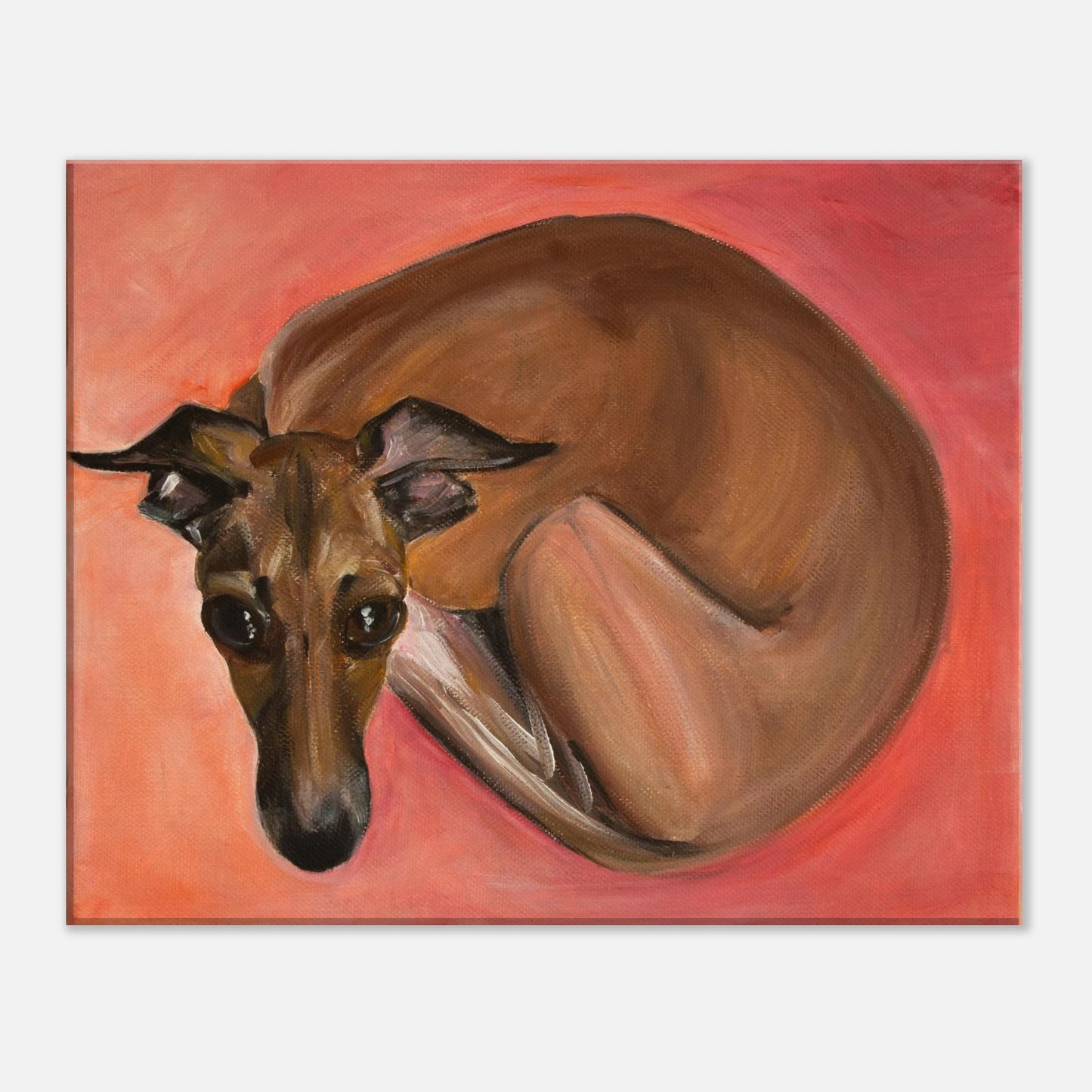 Front View 40x50x4 cm