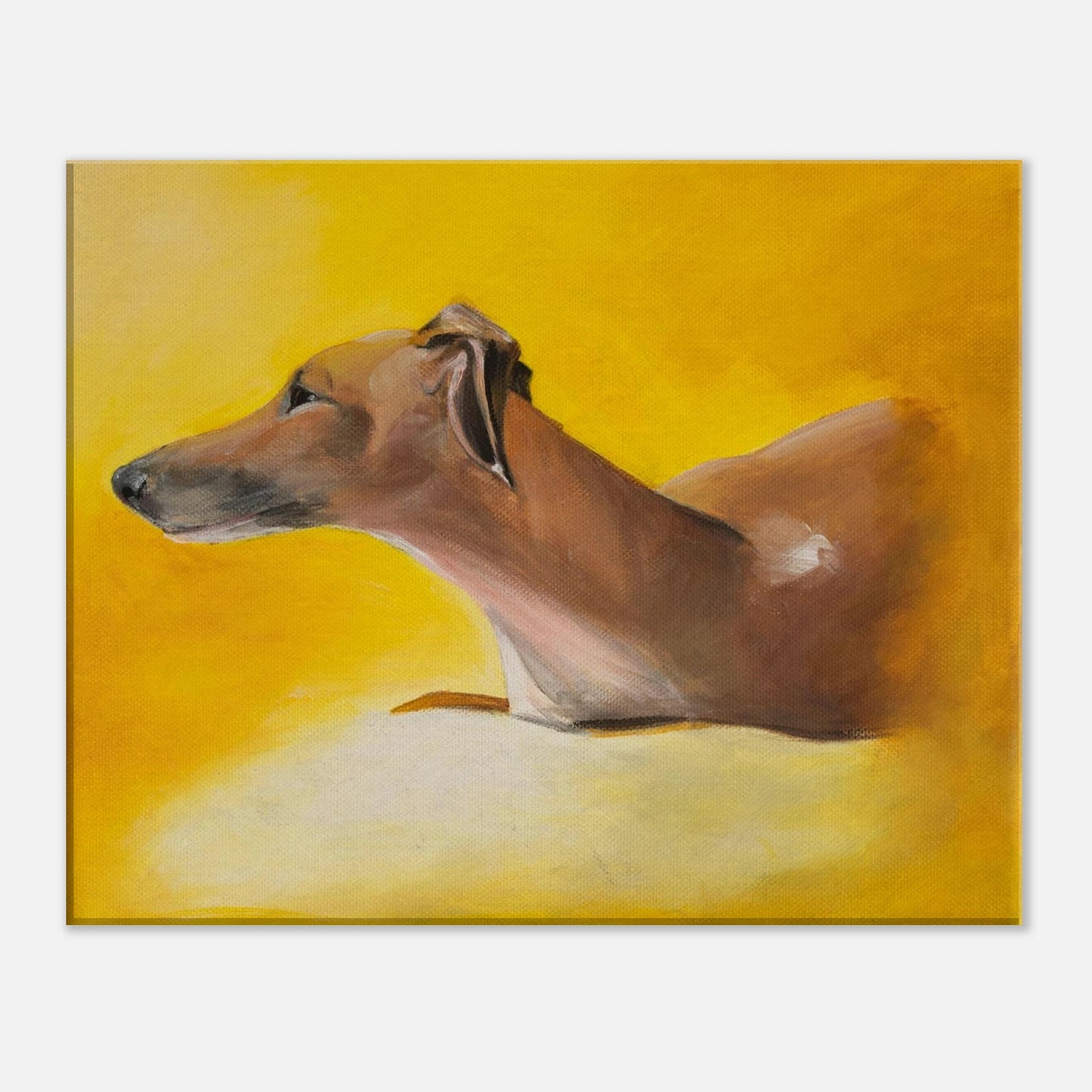 Front View 40x50x4 cm